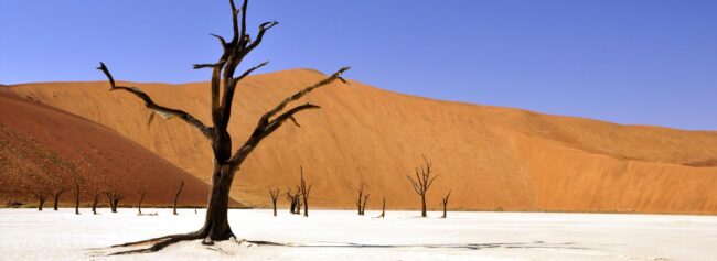 Drought