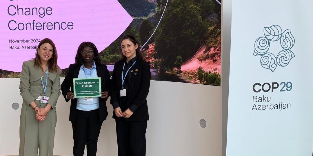 COP29 and the COP Process Does Matter - GEI Climate